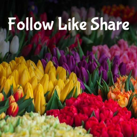 Please Follow my new game! ๐๐ - Picture 4 of 9